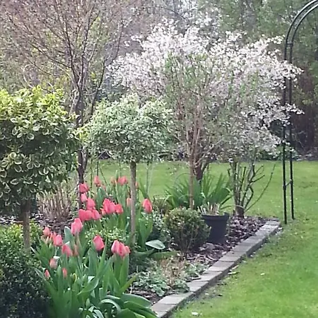 Gartenapartment In Stadtvilla